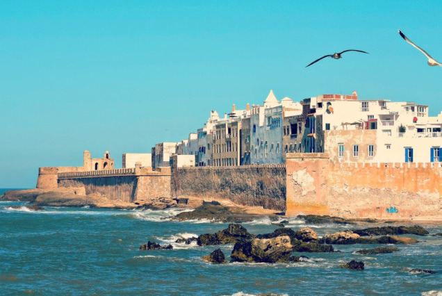 Private Day Trip to ESSAOUIRA from Marrakech