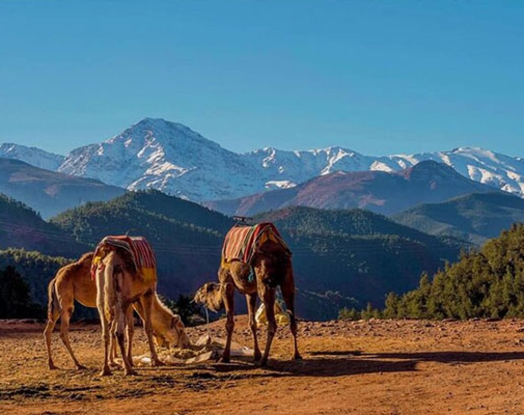 ourika-valley-atlas-mountains-panoramic